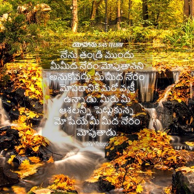 Picture 04 - యోహాను 5:45 TELIRV - నేను తండ్రి ముందు - Bible Verse Picture