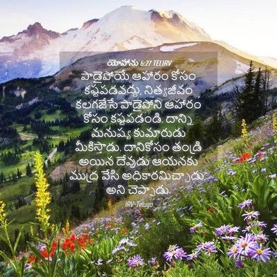 Picture 04 - యోహాను 6:27 TELIRV - పాడైపోయే ఆహారం - Bible Verse Picture
