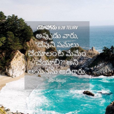 Picture 04 - యోహాను 6:28 TELIRV - అప్పుడు వారు, - Bible Verse Picture