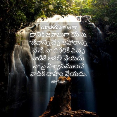 Picture 04 - యోహాను 6:35 TELIRV - దానికి జవాబుగా - Bible Verse Picture