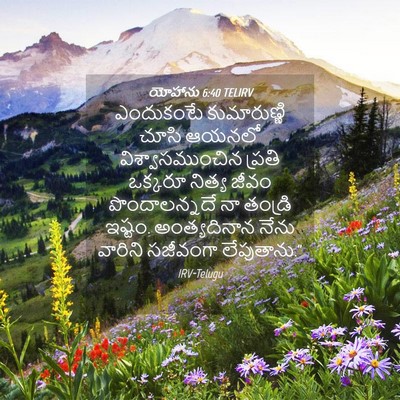 Picture 04 - యోహాను 6:40 TELIRV - ఎందుకంటే - Bible Verse Picture