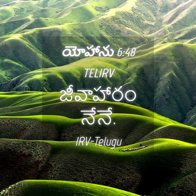 Picture 04 - యోహాను 6:48 TELIRV - జీవాహారం - Bible Verse Picture