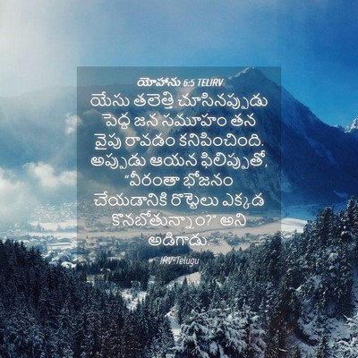 Picture 04 - యోహాను 6:5 TELIRV - యేసు తలెత్తి - Bible Verse Picture