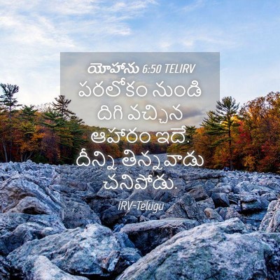 Picture 04 - యోహాను 6:50 TELIRV - పరలోకం నుండి దిగి - Bible Verse Picture