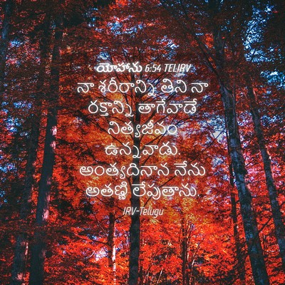 Picture 04 - యోహాను 6:54 TELIRV - నా శరీరాన్ని తిని - Bible Verse Picture