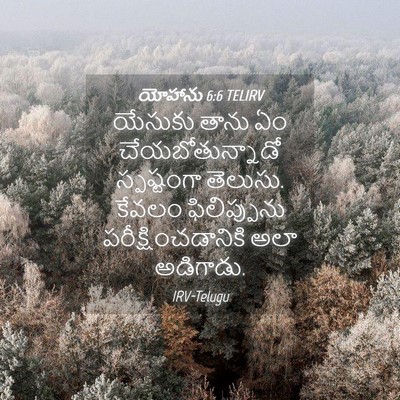 Picture 04 - యోహాను 6:6 TELIRV - యేసుకు తాను ఏం - Bible Verse Picture