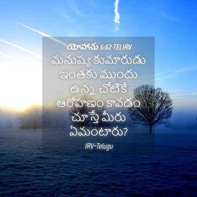 Picture 04 - యోహాను 6:62 TELIRV - మనుష్య కుమారుడు - Bible Verse Picture