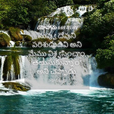 Picture 04 - యోహాను 6:69 TELIRV - నువ్వు దేవుని - Bible Verse Picture