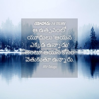 Picture 04 - యోహాను 7:11 TELIRV - ఆ ఉత్సవంలో యూదులు - Bible Verse Picture