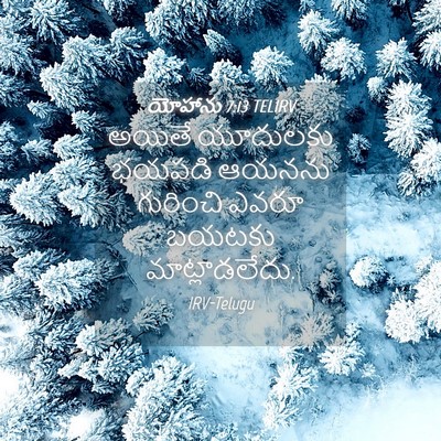 Picture 04 - యోహాను 7:13 TELIRV - అయితే యూదులకు - Bible Verse Picture