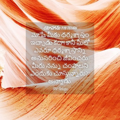 Picture 04 - యోహాను 7:19 TELIRV - మోషే మీకు - Bible Verse Picture
