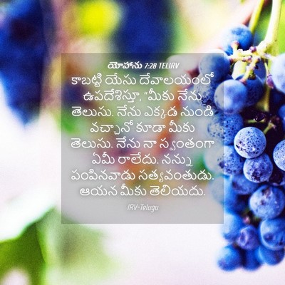 Picture 04 - యోహాను 7:28 TELIRV - కాబట్టి యేసు - Bible Verse Picture