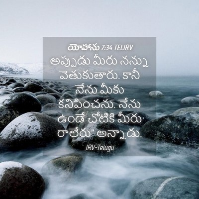 Picture 04 - యోహాను 7:34 TELIRV - అప్పుడు మీరు - Bible Verse Picture