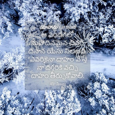 Picture 04 - యోహాను 7:37 TELIRV - ఆ పండగలో - Bible Verse Picture