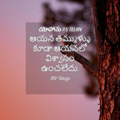 Picture 04 - యోహాను 7:5 TELIRV - ఆయన తమ్ముళ్ళు - Bible Verse Picture