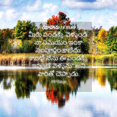 Picture 04 - యోహాను 7:8 TELIRV - మీరు పండక్కి - Bible Verse Picture
