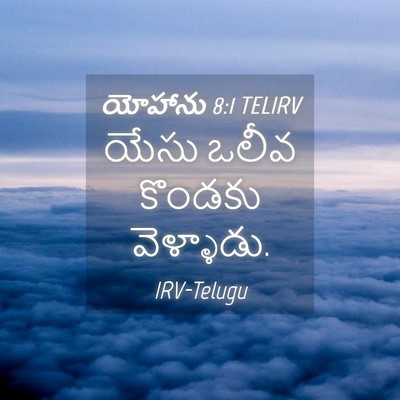 Picture 04 - యోహాను 8:1 TELIRV - యేసు ఒలీవ కొండకు - Bible Verse Picture