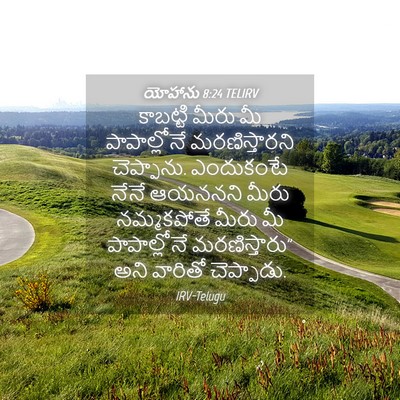 Picture 04 - యోహాను 8:24 TELIRV - కాబట్టి మీరు మీ - Bible Verse Picture