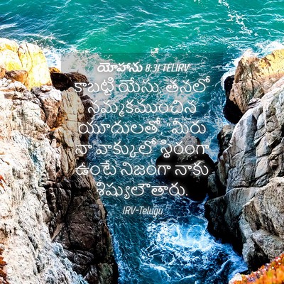 Picture 04 - యోహాను 8:31 TELIRV - కాబట్టి యేసు, తనలో - Bible Verse Picture