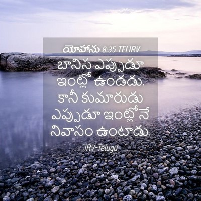 Picture 04 - యోహాను 8:35 TELIRV - బానిస ఎప్పుడూ - Bible Verse Picture