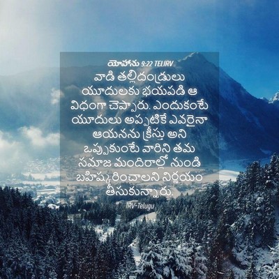 Picture 04 - యోహాను 9:22 TELIRV - వాడి - Bible Verse Picture
