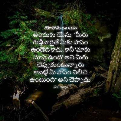 Picture 04 - యోహాను 9:41 TELIRV - అందుకు యేసు, “మీరు - Bible Verse Picture