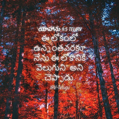 Picture 04 - యోహాను 9:5 TELIRV - ఈ లోకంలో - Bible Verse Picture