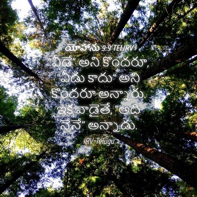 Picture 04 - యోహాను 9:9 TELIRV - “వీడే” అని కొందరూ, - Bible Verse Picture