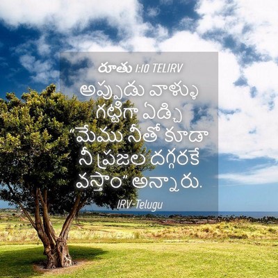 Picture 04 - రూతు 1:10 TELIRV - అప్పుడు వాళ్ళు - Bible Verse Picture