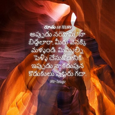 Picture 04 - రూతు 1:11 TELIRV - అప్పుడు నయోమి “నా - Bible Verse Picture