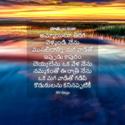 Picture 04 - రూతు 1:12 TELIRV - అమ్మాయిలూ, తిరిగి - Bible Verse Picture