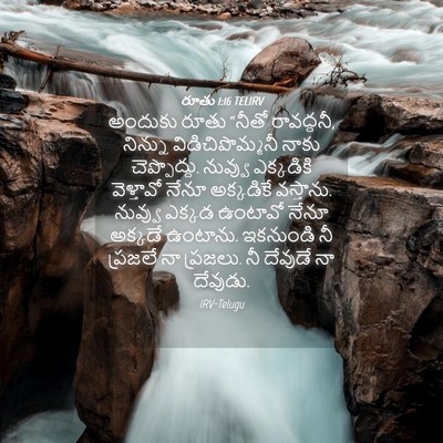 Picture 04 - రూతు 1:16 TELIRV - అందుకు రూతు “నీతో - Bible Verse Picture