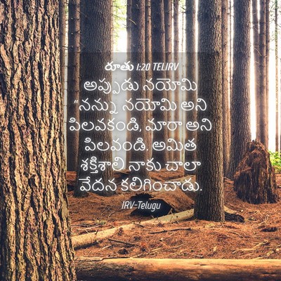 Picture 04 - రూతు 1:20 TELIRV - అప్పుడు నయోమి - Bible Verse Picture