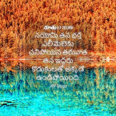 Picture 04 - రూతు 1:3 TELIRV - నయోమి తన భర్త - Bible Verse Picture