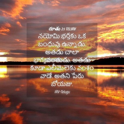 Picture 04 - రూతు 2:1 TELIRV - నయోమి భర్తకు ఒక - Bible Verse Picture