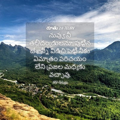 Picture 04 - రూతు 2:11 TELIRV - నువ్వు నీ - Bible Verse Picture
