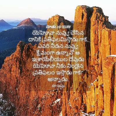 Picture 04 - రూతు 2:12 TELIRV - యెహోవా నువ్వు - Bible Verse Picture