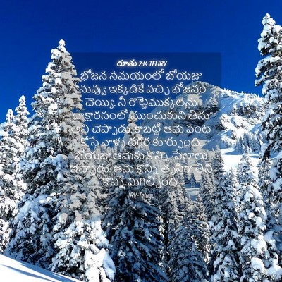 Picture 04 - రూతు 2:14 TELIRV - భోజన సమయంలో బోయజు - Bible Verse Picture