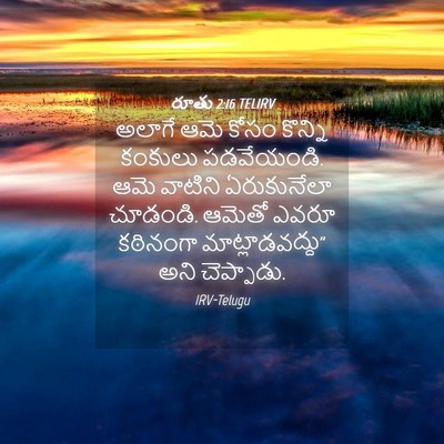Picture 04 - రూతు 2:16 TELIRV - అలాగే ఆమె కోసం - Bible Verse Picture