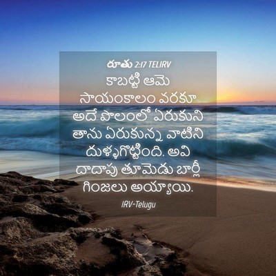 Picture 04 - రూతు 2:17 TELIRV - కాబట్టి ఆమె - Bible Verse Picture