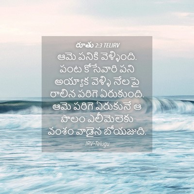 Picture 04 - రూతు 2:3 TELIRV - ఆమె పనికి - Bible Verse Picture