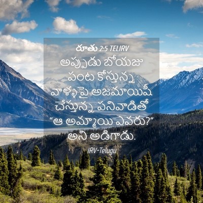 Picture 04 - రూతు 2:5 TELIRV - అప్పుడు బోయజు పంట - Bible Verse Picture