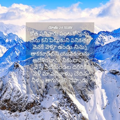 Picture 04 - రూతు 2:9 TELIRV - కోత పనివారు పంట - Bible Verse Picture