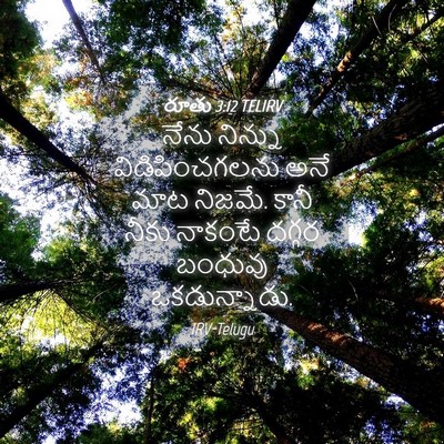 Picture 04 - రూతు 3:12 TELIRV - నేను నిన్ను - Bible Verse Picture