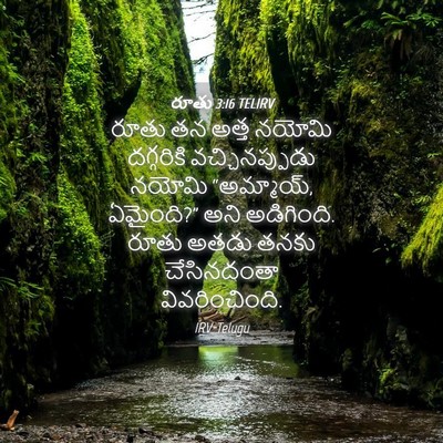 Picture 04 - రూతు 3:16 TELIRV - రూతు తన అత్త నయోమి - Bible Verse Picture