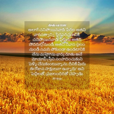 Picture 04 - రూతు 4:10 TELIRV - అలాగే - Bible Verse Picture
