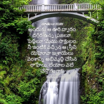 Picture 04 - రూతు 4:11 TELIRV - అందుకు ఆ ఊరి - Bible Verse Picture