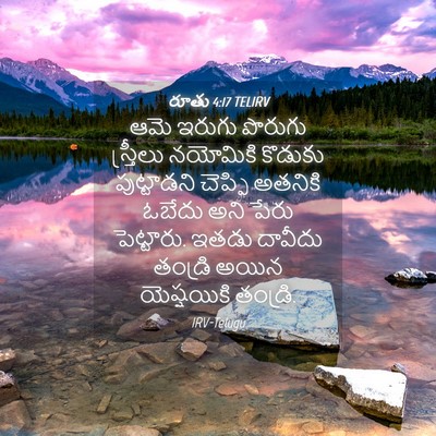 Picture 04 - రూతు 4:17 TELIRV - ఆమె ఇరుగు పొరుగు - Bible Verse Picture