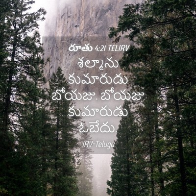 Picture 04 - రూతు 4:21 TELIRV - శల్మాను కుమారుడు - Bible Verse Picture