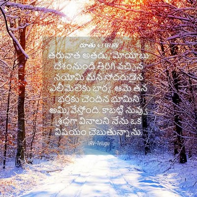 Picture 04 - రూతు 4:3 TELIRV - తరువాత అతడు - Bible Verse Picture